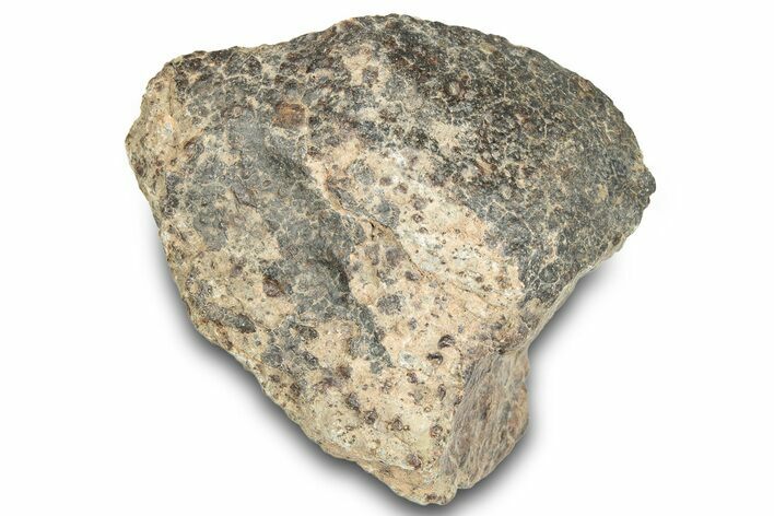 Chondrite Meteorite (g) - Western Sahara Desert #285369